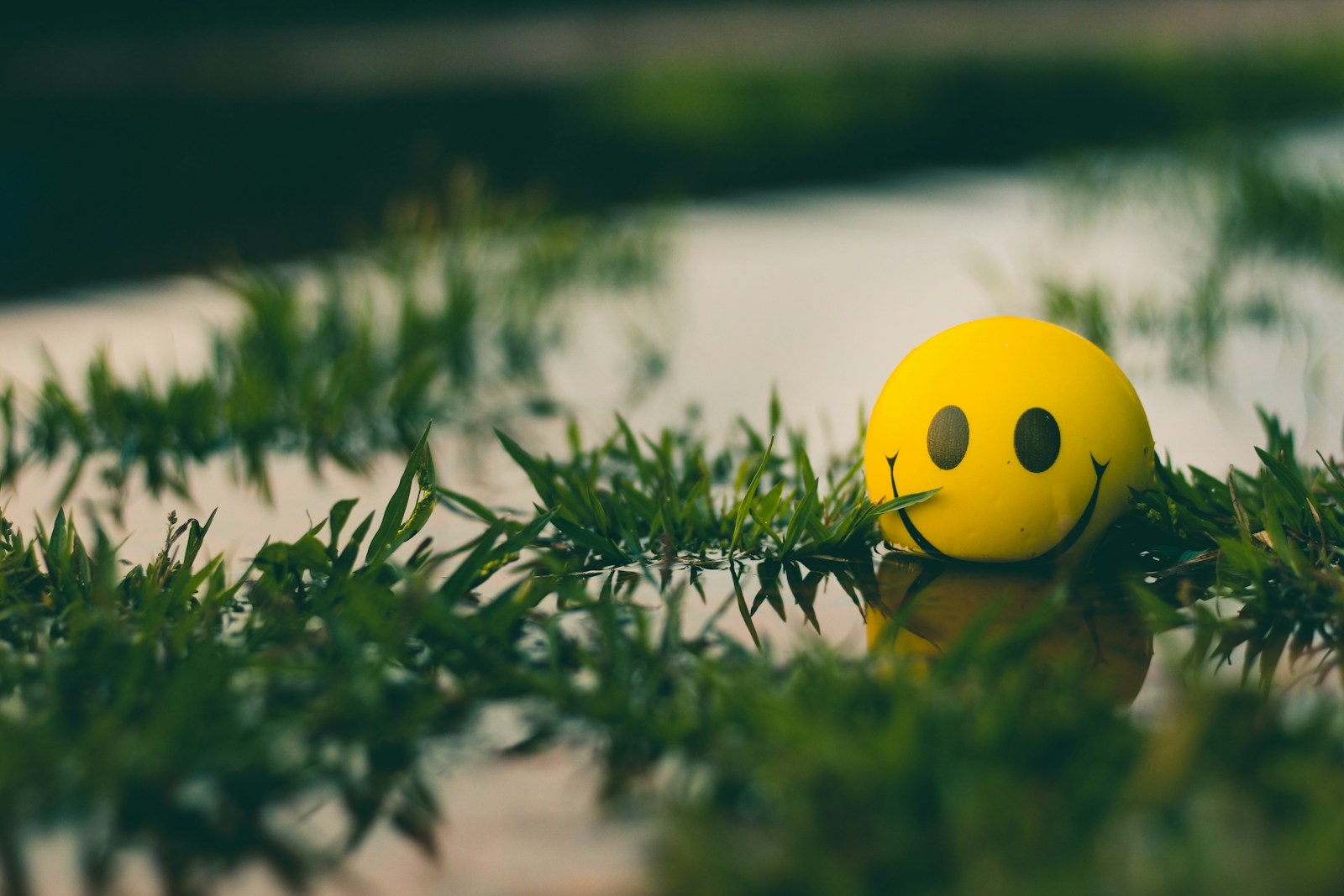 Boost Your Mindset with Powerful Positive Thinking Exercises