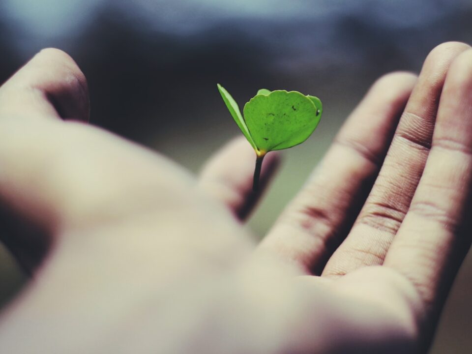 Practical tips for cultivating a growth mindset
