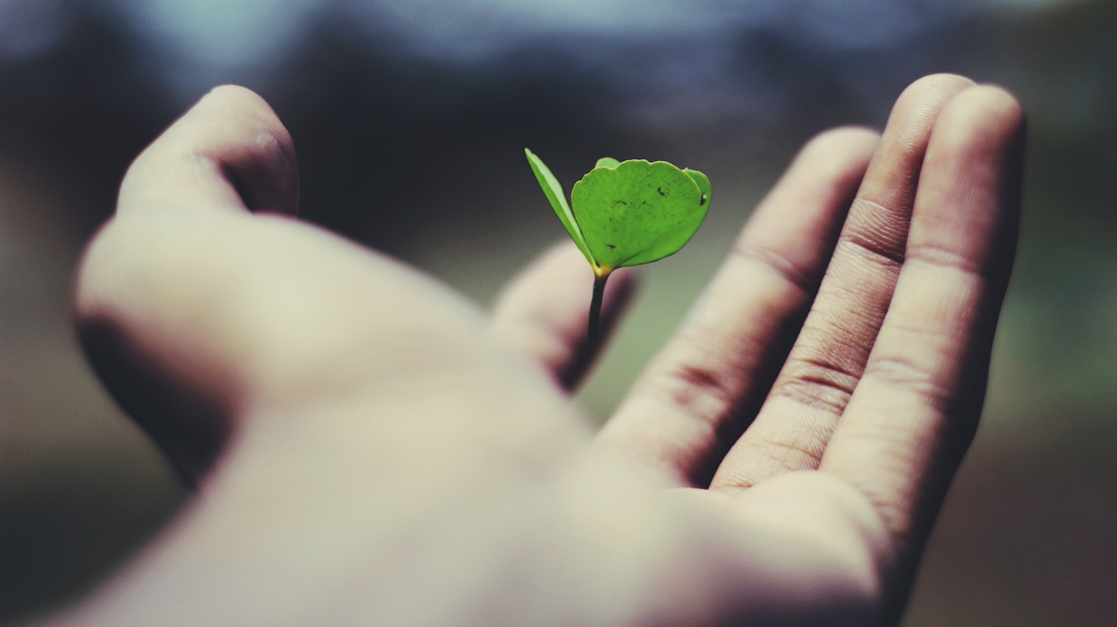 Practical tips for cultivating a growth mindset